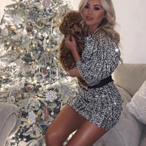 ZARA BELTED SEQUIN DRESS - Picture 1 of 8